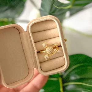 Anillo Dione